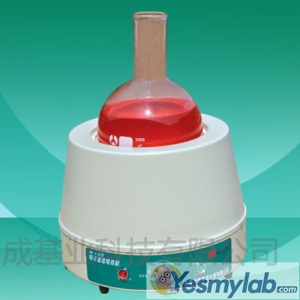 天津泰斯特电子调温型98-I-B电热套（10000ml）